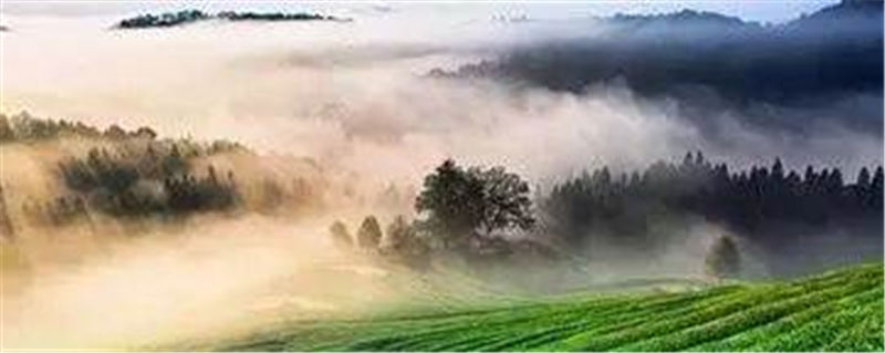 关于中欧地理标志协定正式生效　贵州绿茶被纳入互认清单的最新消息