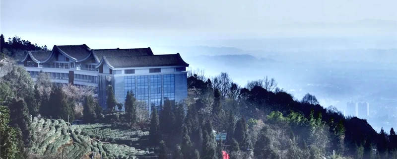 关于打卡4000亩蒙顶山茶核心区保护茶园，赏千亩山茶花园！的新闻