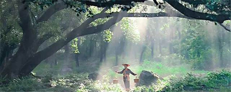 关于2021年长三角春茶茶情通报（第一期）：采摘提前的新闻