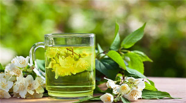 茉莉花茶的泡法