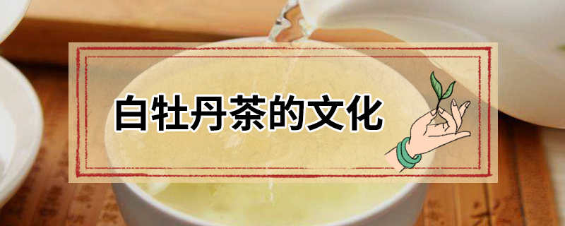 白牡丹茶的文化