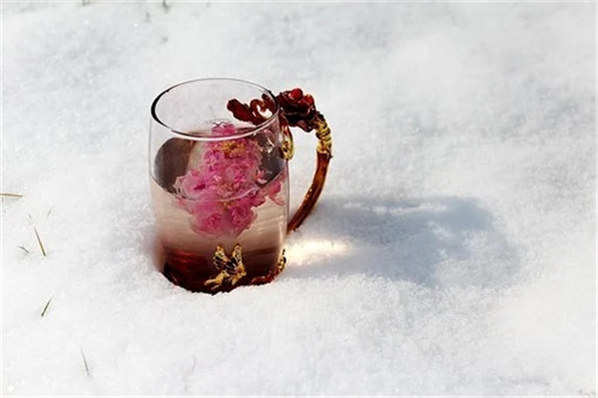 玫瑰菊花茶有什么功效吗