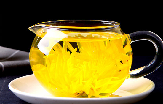 哪些人不能喝金丝皇菊