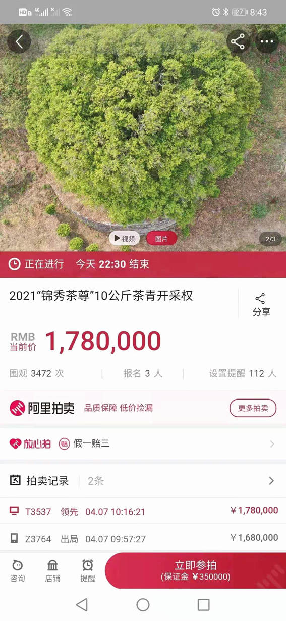 关于香竹箐锦绣茶王树10公斤鲜叶采摘权拍出1068万元天价的热门消息(3)