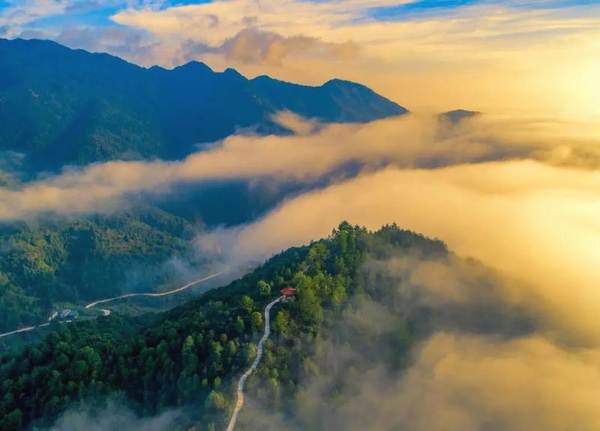 关于什么是智慧化有机茶庄园，智慧茶业到底是如何建造设计的的新闻(15)