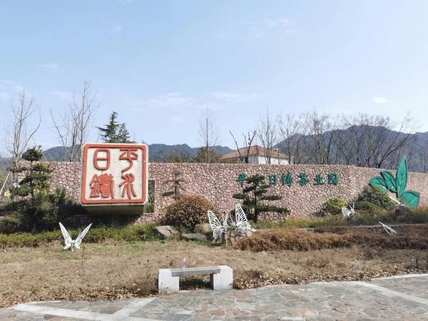 关于发展规划 | 浙江省茶产业“十三五”回顾与“十四五”展望的最新消息(19)