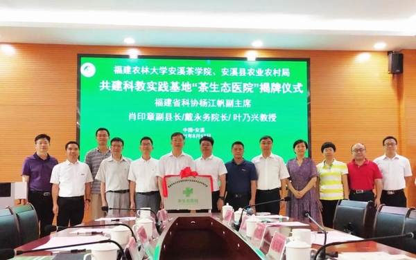 有关于首次破译黄棪茶树品种基因组，揭示安溪高香茶品种分子学机理的热门资讯(5)