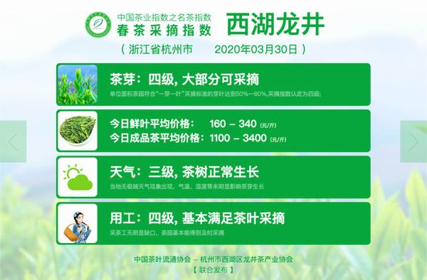 关于【2020年度新闻】茶行业热点新闻事件汇总的热门消息(5)