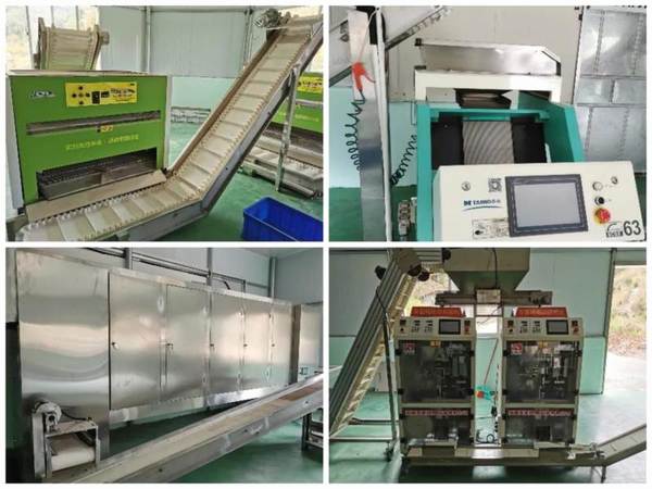 关于什么是智慧化有机茶庄园，智慧茶业到底是如何建造设计的的新闻(12)