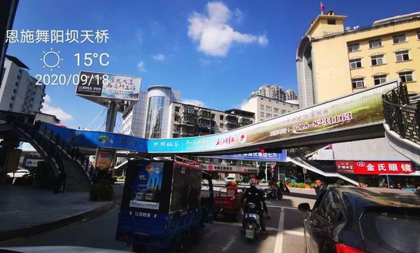 关于2020年恩施硒茶产业发展大事记(三)的新闻(10)