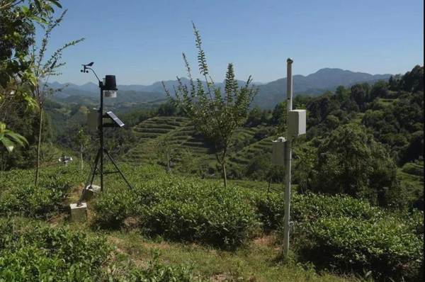 关于什么是智慧化有机茶庄园，智慧茶业到底是如何建造设计的的新闻(4)
