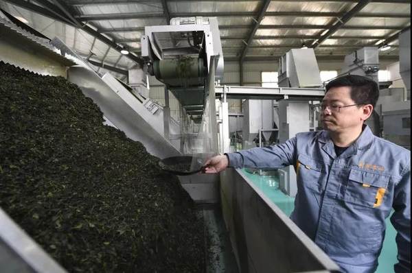 关于东西部扶贫协作发展茶产业助力脱贫攻坚——以杭州市对口帮扶湖北省恩施州为例的最新消息(3)