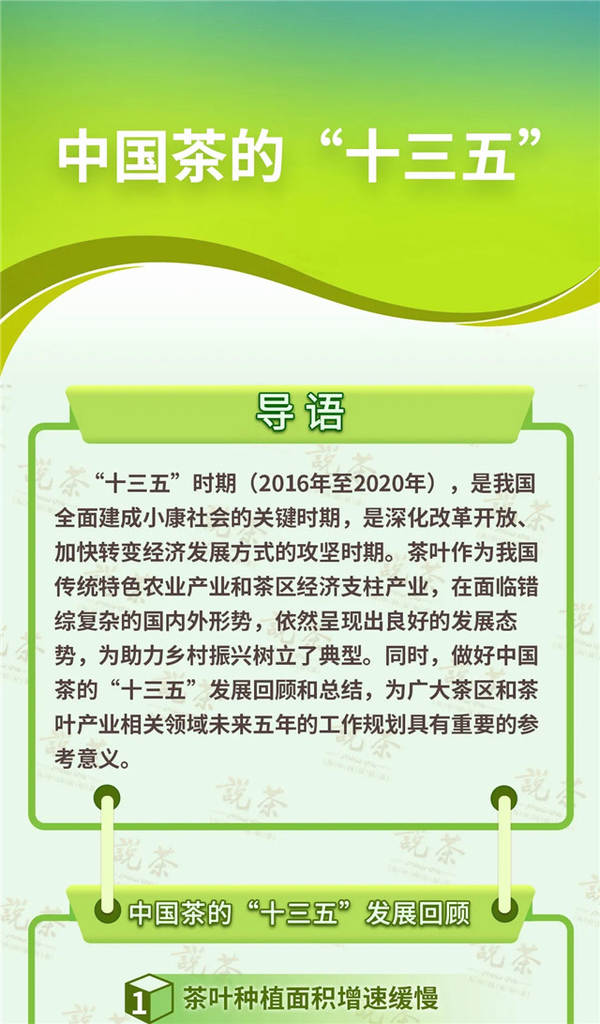 关于重磅：中国茶的“十三五”发展回顾和总结的最新信息