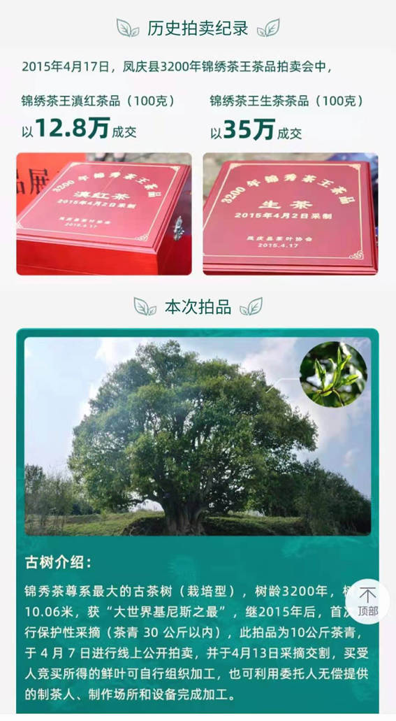 关于香竹箐锦绣茶王树10公斤鲜叶采摘权拍出1068万元天价的热门消息(1)