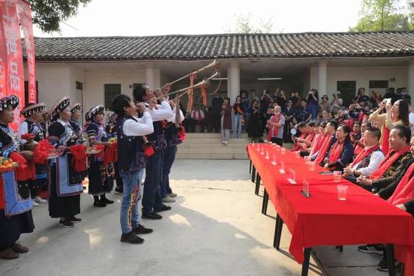 关于墨江县贡茶园茶王树开采,现场竞拍28万元的最新消息(7)