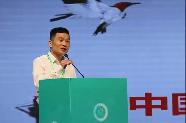 有关于2021中国白茶推介会在中国白茶城举行的热门资讯(6)