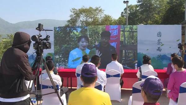 关于困鹿山“细叶皇后”开采 100克干茶拍卖价10万余元的热门资讯(7)