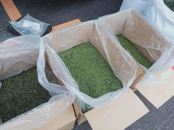 关于2020年恩施硒茶产业发展大事记（一）的最新资讯(16)