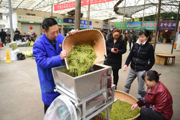 关于【2020年度观点】茶行业年度观点影响力盘点（上）的最新信息(5)