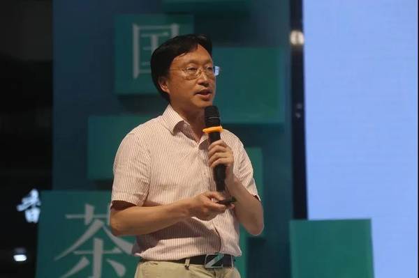 有关于2021中国白茶推介会在中国白茶城举行的热门资讯(2)