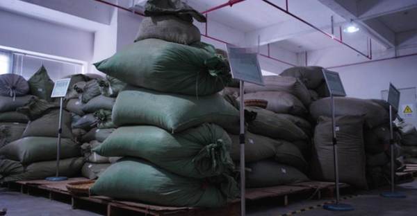 关于云南40万吨普洱茶躺在仓库！古树茶，无法面对残酷的现实的新闻(5)