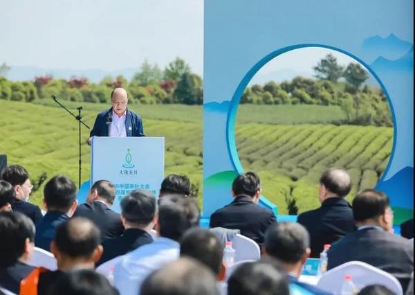 有关于链接现代消费者，看大佛龙井的品牌传播新探索的热门信息(11)