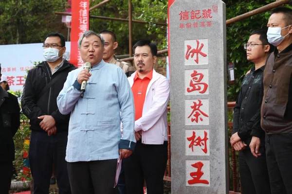 关于冰岛五寨春茶全面开采，五棵茶王树领衔“保护开采”新模式的热门资讯(6)