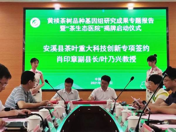 有关于首次破译黄棪茶树品种基因组，揭示安溪高香茶品种分子学机理的热门资讯(7)