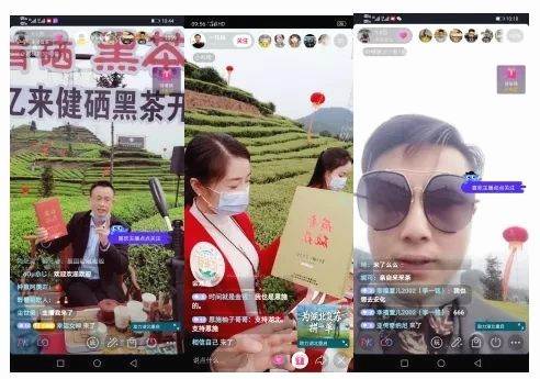 关于2020年恩施硒茶产业发展大事记（二）的热门消息(4)