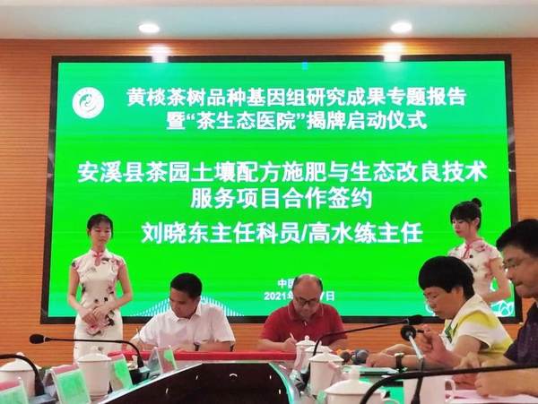 有关于首次破译黄棪茶树品种基因组，揭示安溪高香茶品种分子学机理的热门资讯(9)