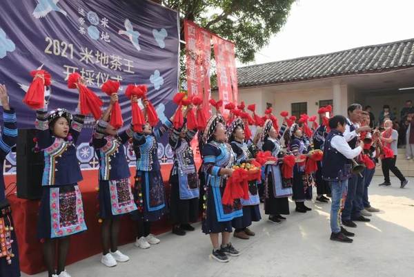 关于墨江县贡茶园茶王树开采,现场竞拍28万元的最新消息(8)