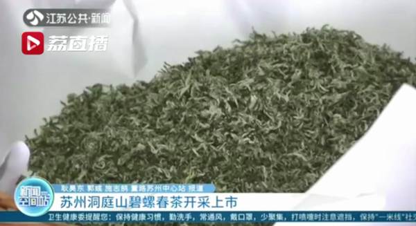 有关于春茶进入全面开采期，快来看看全国各地春茶采制的最新情况吧的消息(7)