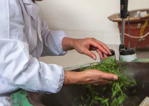 关于发展规划 | 浙江省茶产业“十三五”回顾与“十四五”展望的最新消息(8)