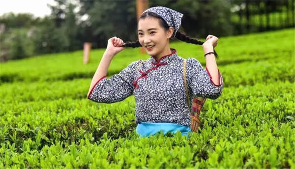 有关于茶旅融合是否有前途？这4地用数据说话！的热门消息(4)