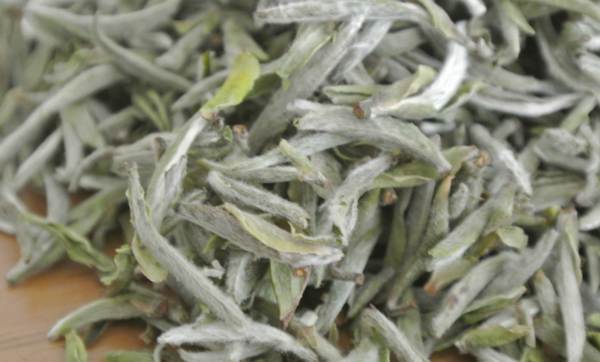 关于全国白茶产量已超7万吨 农业产值达75亿元的热门消息