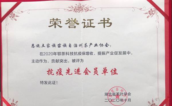 关于2020年恩施硒茶产业发展大事记(三)的新闻(15)