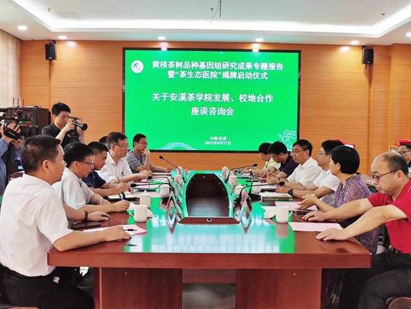 有关于首次破译黄棪茶树品种基因组，揭示安溪高香茶品种分子学机理的热门资讯(6)