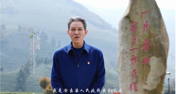 有关于春茶进入全面开采期，快来看看全国各地春茶采制的最新情况吧的消息(9)