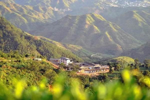 有关于福建安溪茶产业助力乡村振兴的经验与启示的热门消息(4)