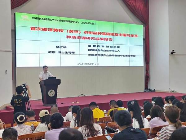 有关于首次破译黄棪茶树品种基因组，揭示安溪高香茶品种分子学机理的热门资讯(1)