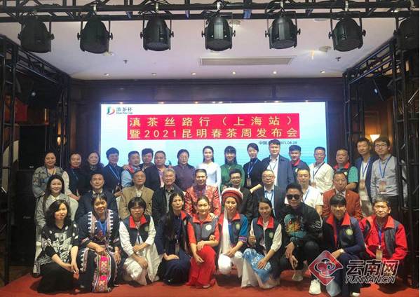 关于2021年云南春茶价格发布 老班章1.2万元/公斤 冰岛古树6万元/公斤的新闻