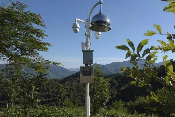 关于什么是智慧化有机茶庄园，智慧茶业到底是如何建造设计的的新闻(5)