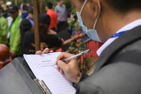 关于冰岛五寨春茶全面开采，五棵茶王树领衔“保护开采”新模式的热门资讯(3)