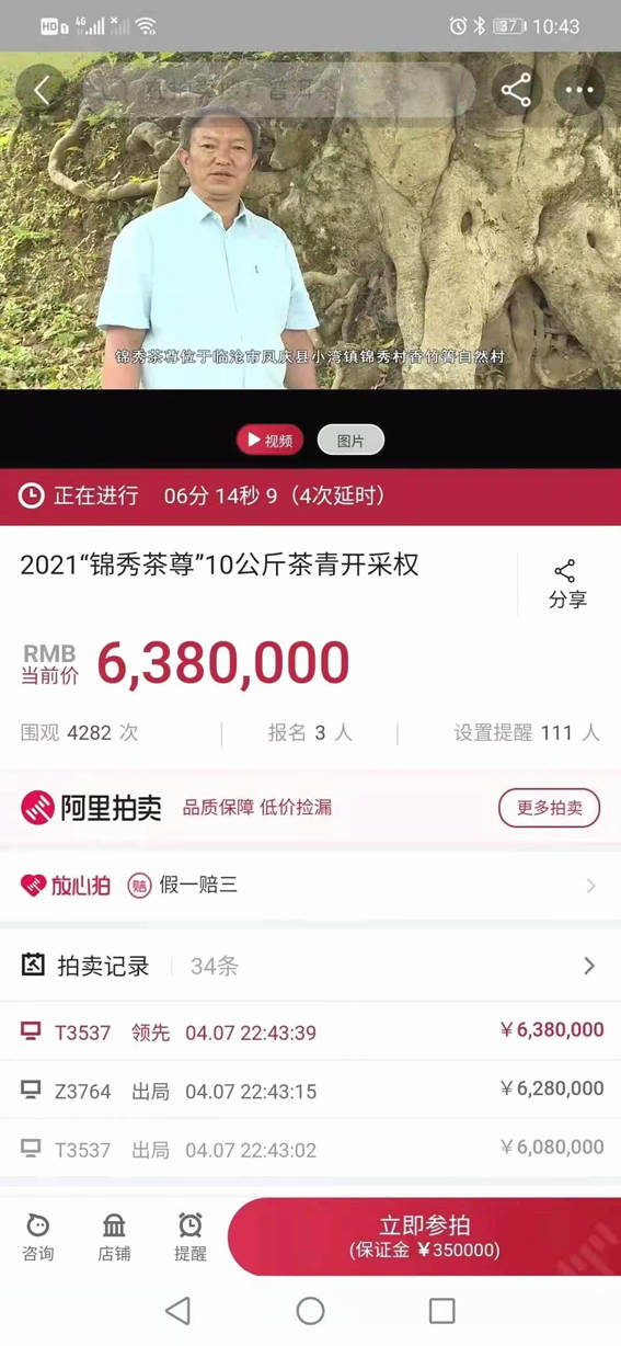 关于香竹箐锦绣茶王树10公斤鲜叶采摘权拍出1068万元天价的热门消息(4)