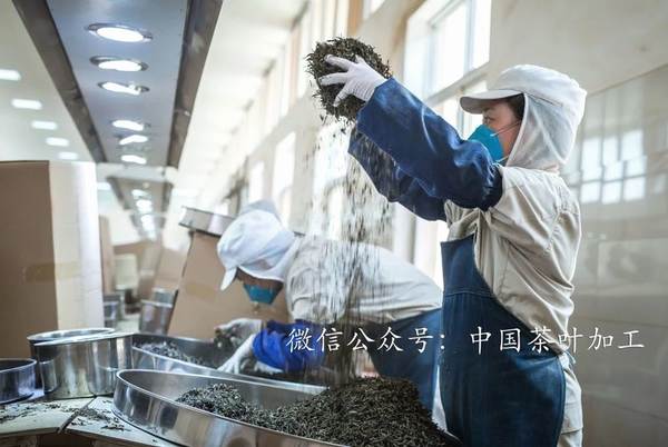 有关于产业扶贫，我国贫困地区茶产业发展面临的问题与挑战的资讯(6)