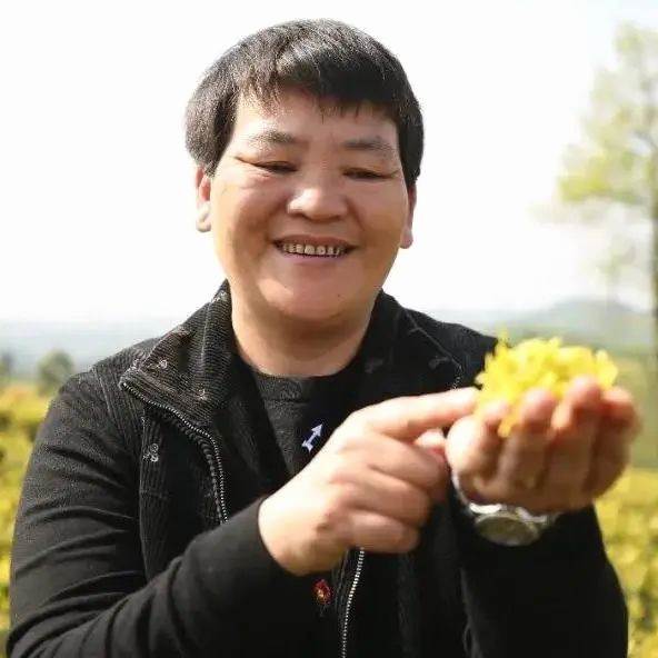 有关于全国脱贫攻坚表彰大会，这些单位和个人因茶上榜！的热门资讯(7)