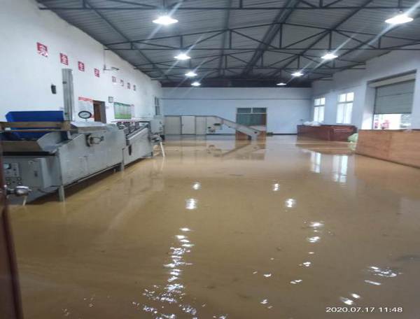 关于2020年恩施硒茶产业发展大事记（二）的热门消息(15)