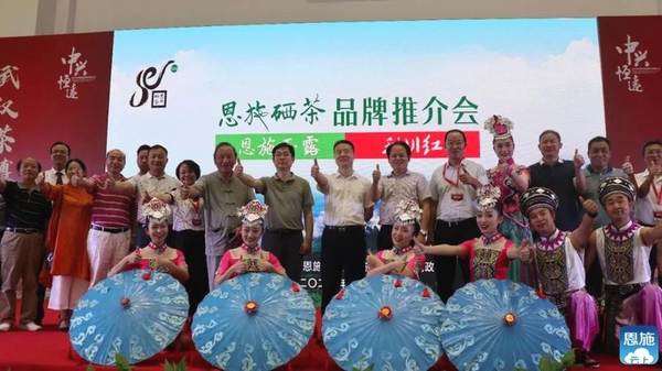 关于2020年恩施硒茶产业发展大事记(三)的新闻(1)