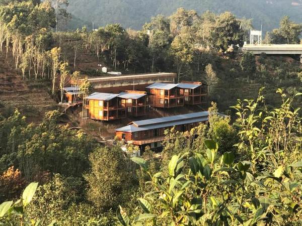 有关于【一线调查】云南临沧昔归村民为何烧茶？的最新消息(5)