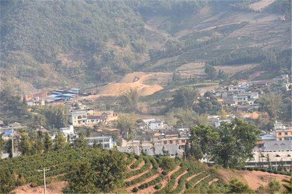 有关于保护古茶树资源，促进古茶树资源可持续利用，冰岛老寨整体搬迁！的最新资讯